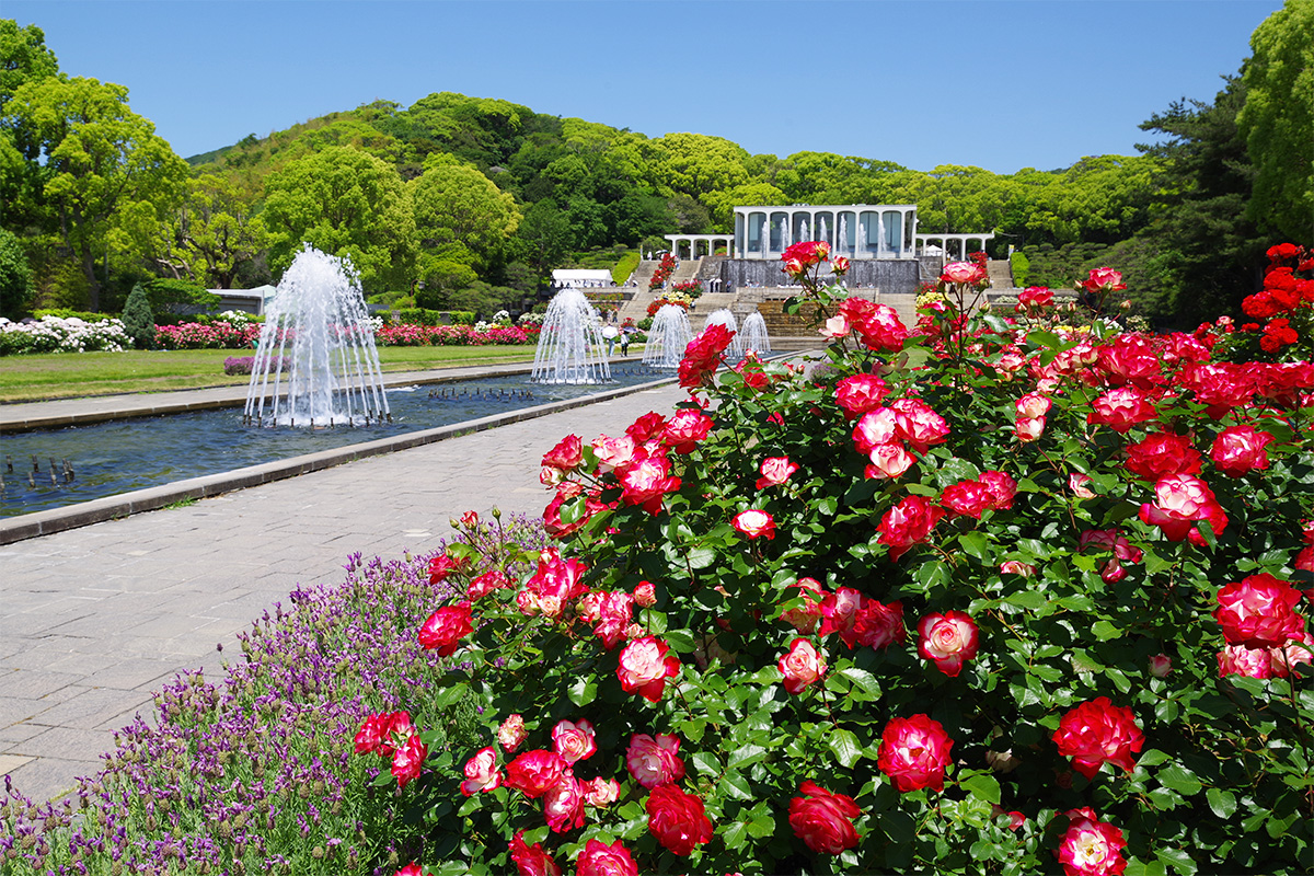 須磨離宮公園